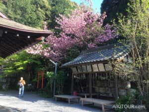 Voyage au Japon printemps 2016